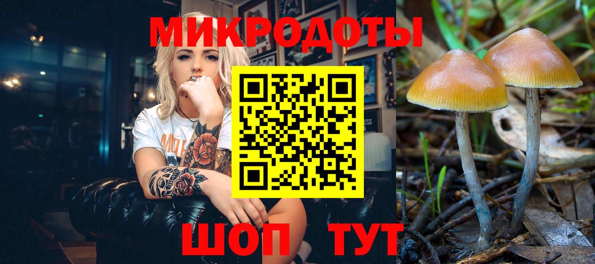 Псилоцибиновые грибы Magic Shrooms Альметьевск