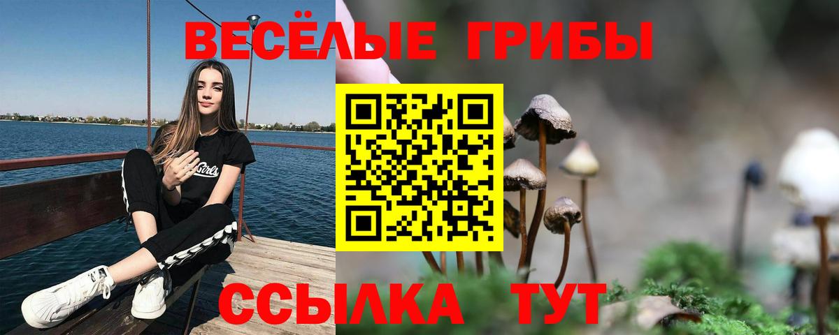 Галлюциногенные грибы ЛСД  Вход с VPN  Альметьевск 